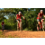 Team 150 / Raid Amazones Cambodge - J3 VTT