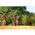 Team 159 / Raid Amazones Cambodge - J3 VTT