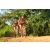 Team 174 / Raid Amazones Cambodge - J3 VTT
