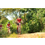 Team 152 / Raid Amazones Cambodge - J3 VTT