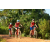 Team 140 / Raid Amazones Cambodge - J3 VTT