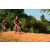 Team 122 / Raid Amazones Cambodge - J3 VTT