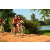 Team 135 / Raid Amazones Cambodge - J3 VTT