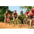 Team 183 / Raid Amazones Cambodge - J3 VTT