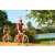 Team 183 / Raid Amazones Cambodge - J3 VTT