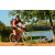 Team 53 / Raid Amazones Cambodge - J3 VTT