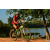 Team 53 / Raid Amazones Cambodge - J3 VTT