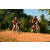 Team 148 / Raid Amazones Cambodge - J3 VTT