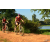 Team 02 / Raid Amazones Cambodge - J3 VTT