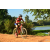 Team 166 / Raid Amazones Cambodge - J3 VTT