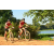 Team 52 / Raid Amazones Cambodge - J3 VTT