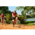 Team 129 / Raid Amazones Cambodge - J3 VTT