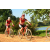 Team 171 / Raid Amazones Cambodge - J3 VTT