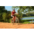 Team 171 / Raid Amazones Cambodge - J3 VTT