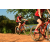 Team 19 / Raid Amazones Cambodge - J3 VTT
