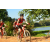 Team 167 / Raid Amazones Cambodge - J3 VTT