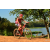 Team 46 / Raid Amazones Cambodge - J3 VTT