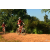Team 169 / Raid Amazones Cambodge - J3 VTT