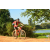 Team 07 / Raid Amazones Cambodge - J3 VTT