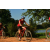 Team 137 / Raid Amazones Cambodge - J3 VTT