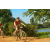 Team 39 / Raid Amazones Cambodge - J3 VTT