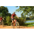 Team 119 / Raid Amazones Cambodge - J3 VTT