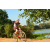 Team 39 / Raid Amazones Cambodge - J3 VTT