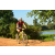 Team 61 / Raid Amazones Cambodge - J3 VTT