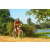 Team 158 / Raid Amazones Cambodge - J3 VTT