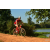 Team 17 / Raid Amazones Cambodge - J3 VTT
