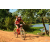 Team 56 / Raid Amazones Cambodge - J3 VTT