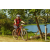 Team 115 / Raid Amazones Cambodge - J3 VTT