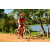 Team 31 / Raid Amazones Cambodge - J3 VTT