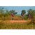 Team 172 / Raid Amazones Cambodge - J3 VTT