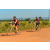 Team 42 / Raid Amazones Cambodge - J3 VTT