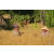Raid Amazones Cambodge - J3 VTT Ambiance