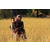 Raid Amazones Cambodge - J3 VTT Ambiance