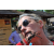 Team 119 / Raid Amazones Cambodge - Jour 4 Chasse aux Tr&eacute;sors