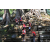 Raid Amazones Cambodge - Jour 4 Chasse aux TrÃ©sors