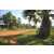 Team 103 / Raid Amazones Cambodge - J5 VTT