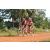 Team 103 / Raid Amazones Cambodge - J5 VTT