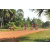 Team 140 / Raid Amazones Cambodge - J5 VTT