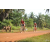 Team 28 / Raid Amazones Cambodge - J5 VTT