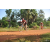 Team 28 / Raid Amazones Cambodge - J5 VTT