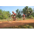 Team 111 / Raid Amazones Cambodge - J5 VTT