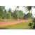 Team 122 / Raid Amazones Cambodge - J5 VTT