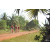 Team 109 / Raid Amazones Cambodge - J5 VTT
