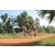 Team 110 / Raid Amazones Cambodge - J5 VTT
