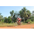 Team 114 / Raid Amazones Cambodge - J5 VTT
