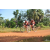 Team 114 / Raid Amazones Cambodge - J5 VTT